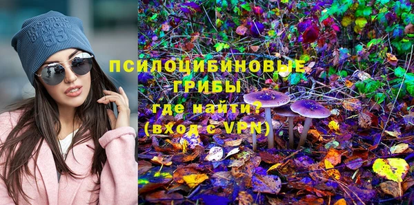 дурь Балахна