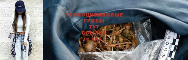 дурь Балахна