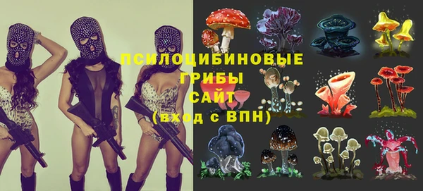 дурь Балахна