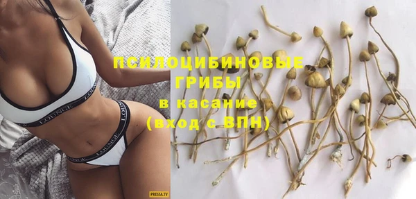ПСИЛОЦИБИНОВЫЕ ГРИБЫ Балабаново