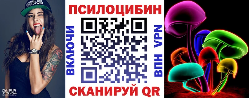 дарк нет наркотические препараты  Шлиссельбург  Галлюциногенные грибы GOLDEN TEACHER 